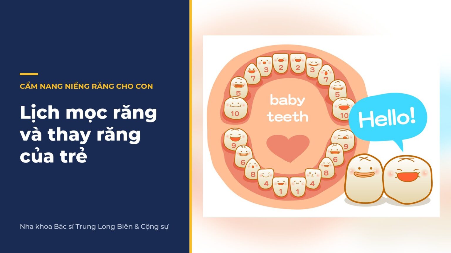 Lịch mọc răng và thay răng của trẻ (bảng tra cứu) - Nha khoa Bác sĩ Trung Long Biên